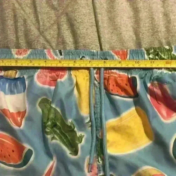 Free Planet Swim Trunk Shorts Mens Medium Pockets Flamingo Print EUC - Picture 4 of 6